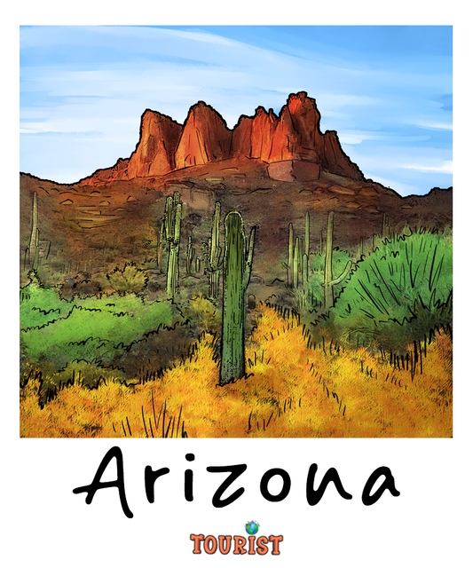 ARIZONA Squeezable Squish Wax Melt