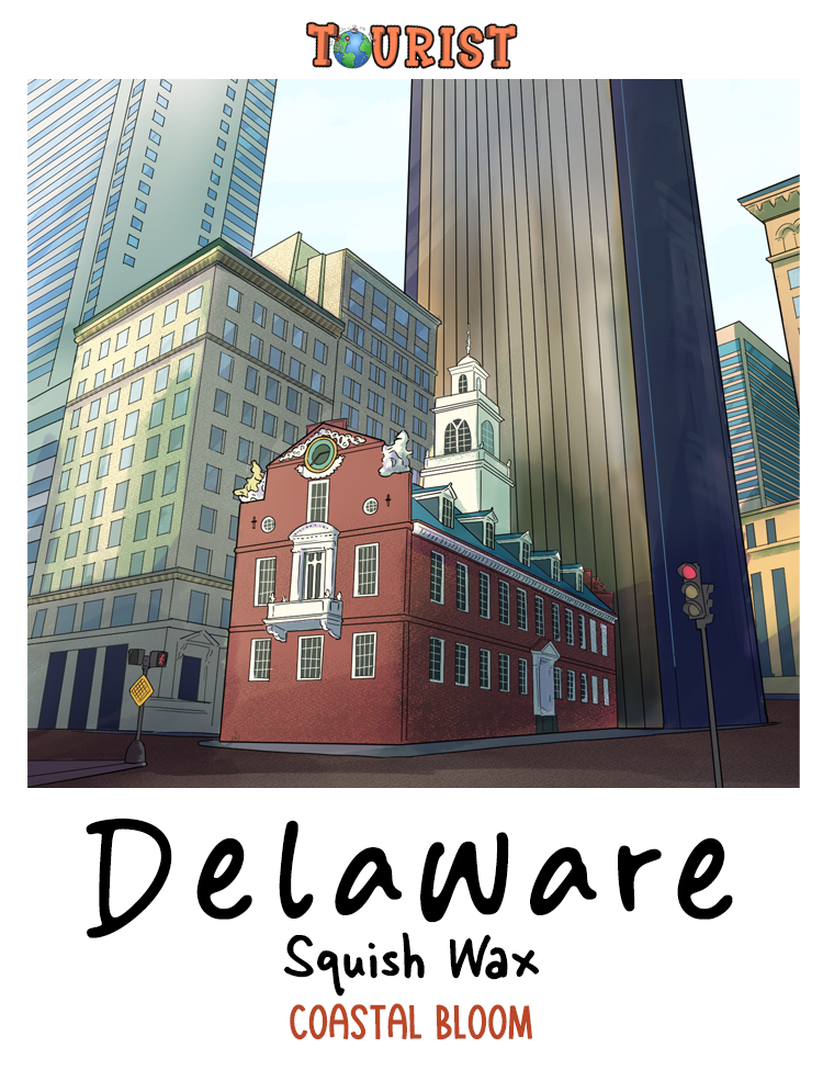 DELAWARE Squeezable Squish Wax Melt