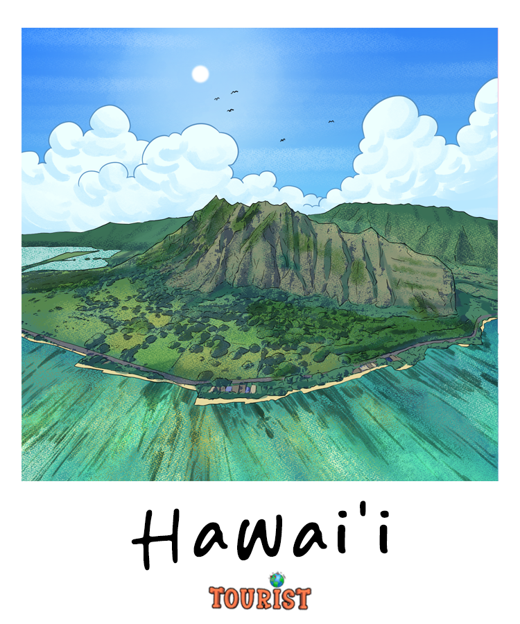 HAWAII Squeezable Squish Wax Melt