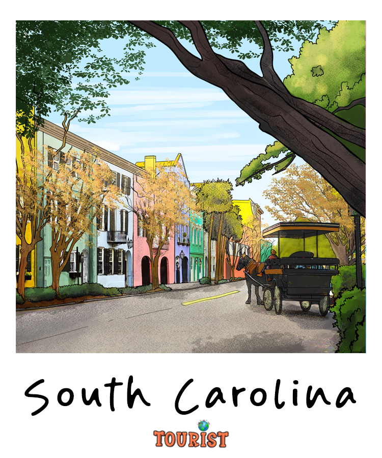 SOUTH CAROLINA Squeezable Squish Wax Melt