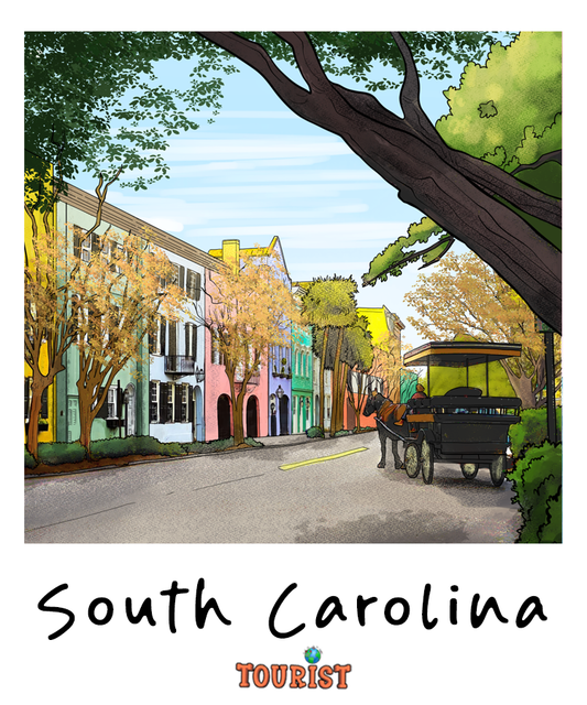 SOUTH CAROLINA Squeezable Squish Wax Melt