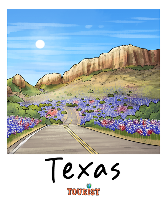 TEXAS Squeezable Squish Wax Melt