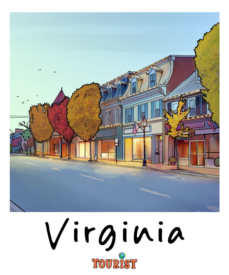 VIRGINIA Squeezable Squish Wax Melt